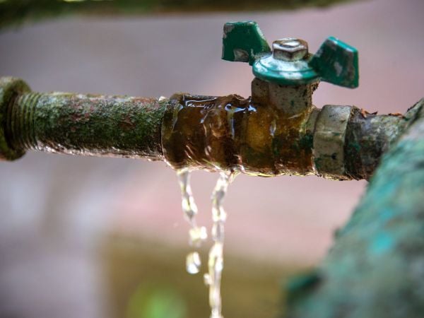 rorinuoctrongnha3f2004c69369462db84a4f1712874ee1grande